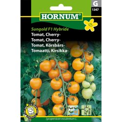 Hornum Tomat, Cherry-, Sungold F1 Hybride