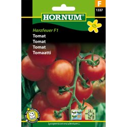 Hornum Tomat, Harzfeuer F1