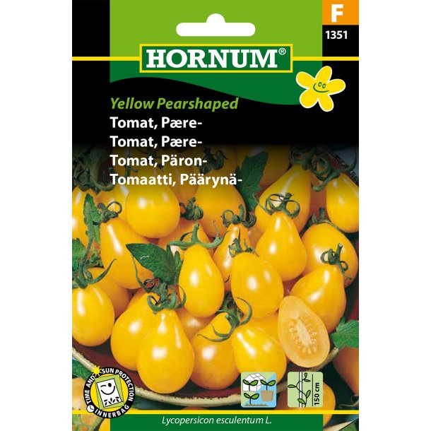 Hornum Tomat, Pre-, Yellow Pearshaped