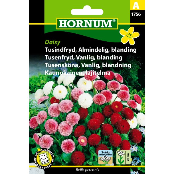 Hornum - Tusindfryd, Almindelig, blan., Daisy
