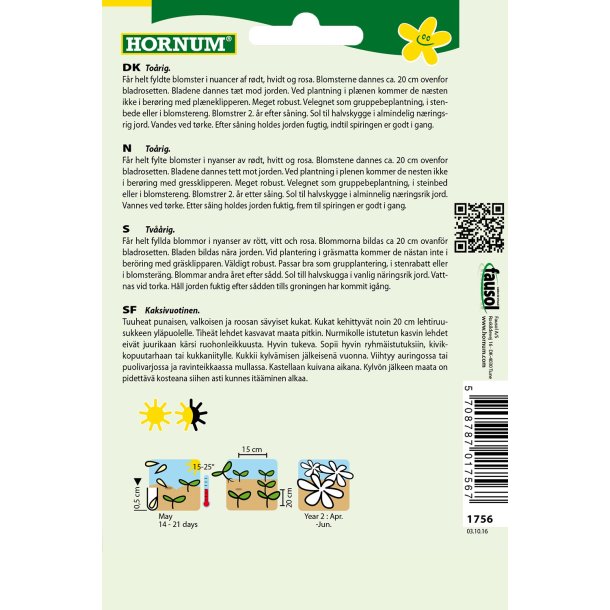 Hornum - Tusindfryd, Almindelig, blan., Daisy