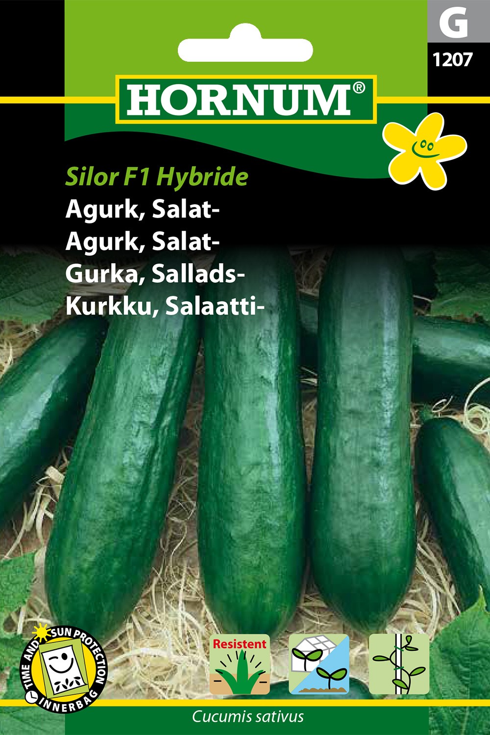 HORNUM Agurk, Salat-, Silor F1 - grøntsagsfrø have